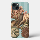 Recherche de dollar coques Vie marine