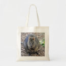 Recherche de quokkas accessoires Australie