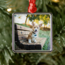 Recherche de pembroke welsh corgi ornements Canine