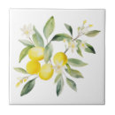 Recherche de citron carreaux Méditerranéen