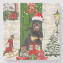 Recherche de rottweiler dessous de verres Dog