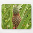 Recherche de fruit tapis souris Photographie