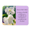 Recherche de pétunia maison deco Jardin