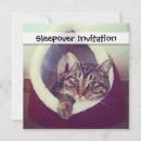 Recherche de gros chat invitations Mignon