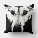 Recherche de pub coussins Chien