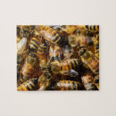 Recherche de apiculteurs puzzles Amoureux des abeilles
