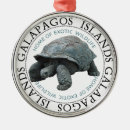 Recherche de travel ornements Faune