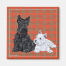 Recherche de chien westie magnets Animaux