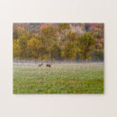 Recherche de elk puzzles Faune