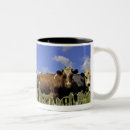 Recherche de île tasses Horizontal