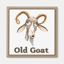 Recherche de chèvre mignonne magnets Drôle