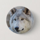 Recherche de loups badges Animal