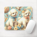 Recherche de bichon tapis souris Chiot