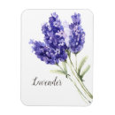 Recherche de fleurs de lavande magnets Jolie