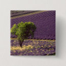Recherche de provence badges Motif