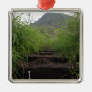 Recherche de randonneur ornements Escalade