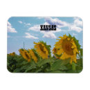 Recherche de sunflower magnets Fleurs