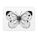 Recherche de chou magnets Dessin