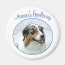 Recherche de chien berger australien magnets Aussie