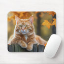 Recherche de gingembre tapis souris Tabby