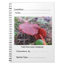 Recherche de naturaliste Champignons