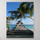 Recherche de scaphandre posters Corail
