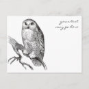 Recherche de hibou neige cartes postales Faune