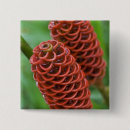 Recherche de rica badges Tropical