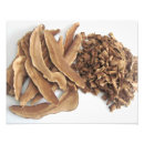 Recherche de champignon comestible posters Fourrage