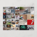 Recherche de cycle de vie cartes postales Vélo