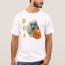Recherche de caniche blanc vêtements Dog