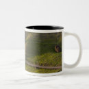 Recherche de moai tasses Nui