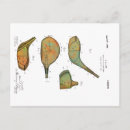 Recherche de 1925 cartes postales Antique