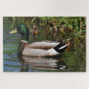 Recherche de draak puzzles Canard