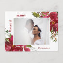 Recherche de poinsettias rouges cartes postales Vacances