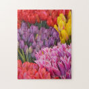 Recherche de tulip puzzles Jardin