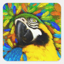 Recherche de parrot party autocollants Exotique