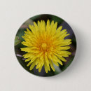 Recherche de pissenlit badges Jaune