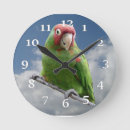Recherche de perroquets rouges horloges Animal