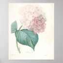 Recherche de 1800s posters Illustration