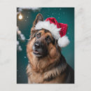 Recherche de chien de berger cartes postales Vacances
