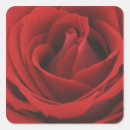 Recherche de affection autocollants Beauté