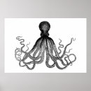 Recherche de kraken posters Imaginaire
