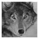 Recherche de loup blanc noir posters Portrait de loup