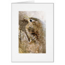 Recherche de roitelet cartes postales Aquarelle