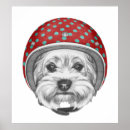 Recherche de casse cou posters Aviation