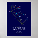 Recherche de hémisphère sud posters Constellation