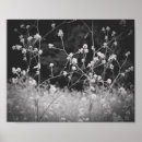 Recherche de motif de fleurs posters Fleur sauvage