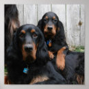 Recherche de pals posters Animaux