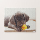 Recherche de chocolat labrador puzzles Chiot